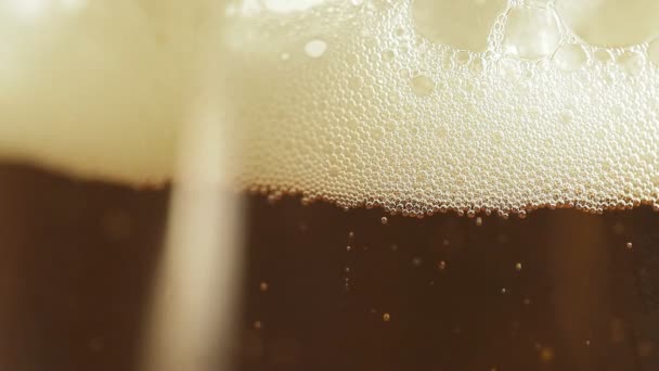 Bollicine di birra in un bicchiere — Video Stock