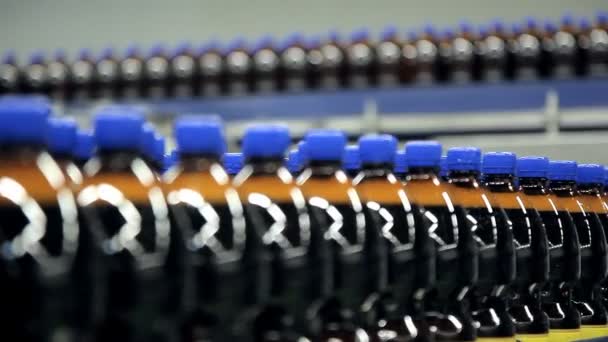 Bottles are moving on the tape conveyor — Stock Video