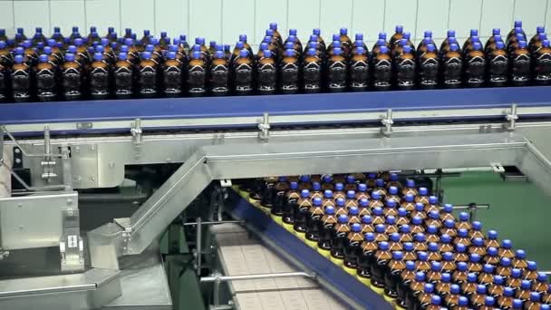 Bottles are moving on the tape conveyor — Stock Video