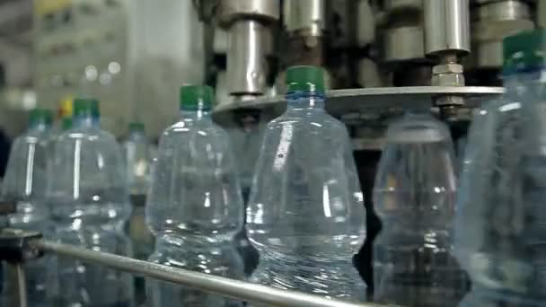 Une ligne pour embouteiller l'eau minérale dans des bouteilles — Video