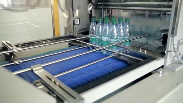 Verpackung von Flaschen mit artesischem Wasser — Stockvideo