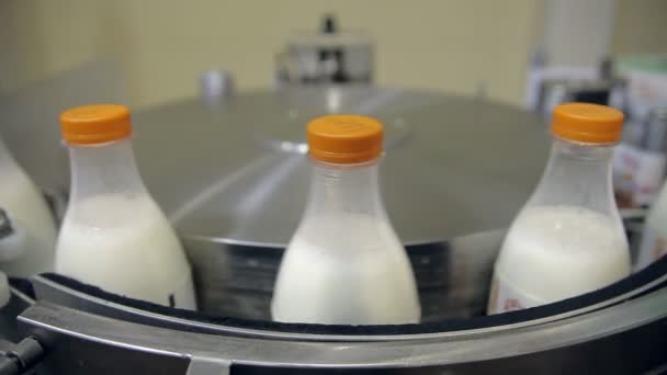 Milk bottles on the conveyor — Stock Video