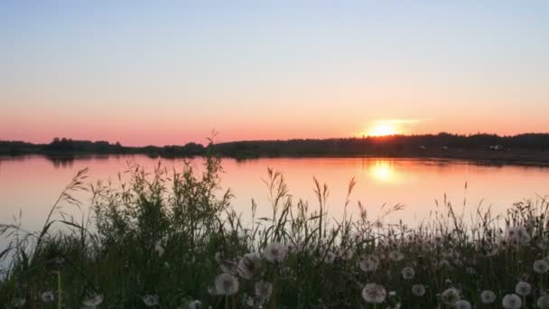 Время захода солнца на озере летом — стоковое видео