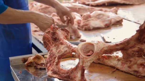 Des bouchers coupent des carcasses d'animaux sur la table — Video