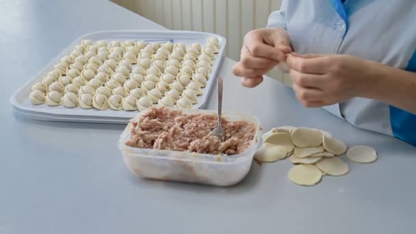 Ένας σεφ είναι συσκευασία κρέατος στην ζυμαρικά — Αρχείο Βίντεο