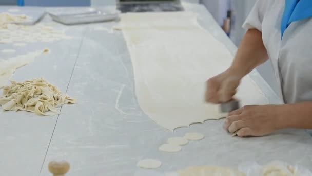 Productie van een groot aantal dumplings in de hand — Stockvideo