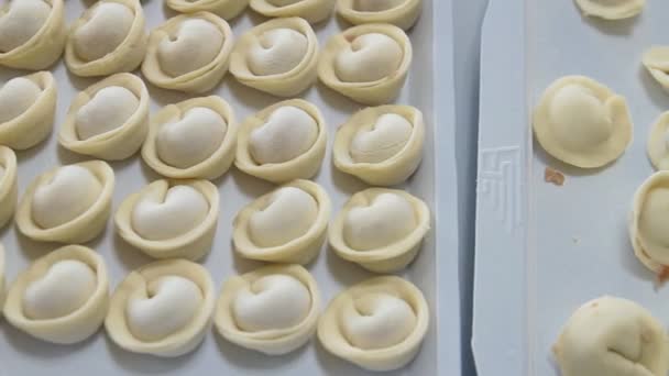 Controllo qualità degli gnocchi fatti a mano — Video Stock