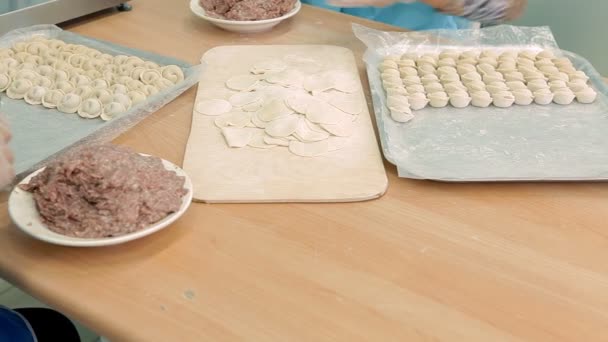 Изготовление пельменей, национального русского блюда — стоковое видео
