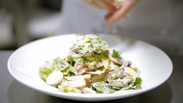 Caesar salad on a plate — Stock Video