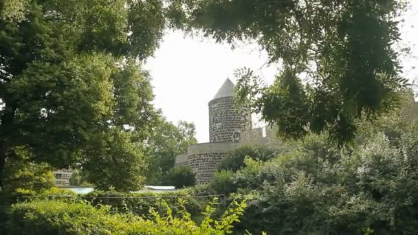 Blick auf ein schönes Schloss durch die Äste der Bäume — Stockvideo