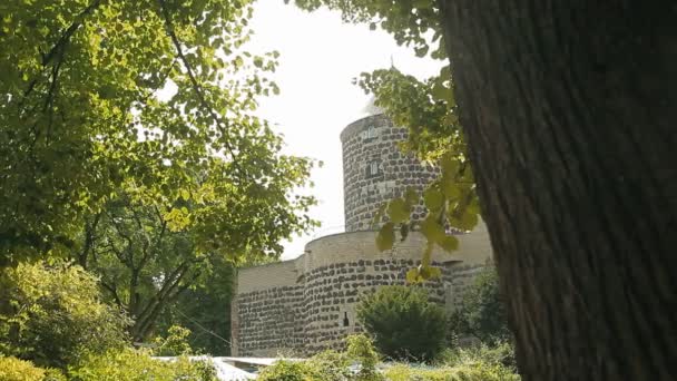 Vista de um belo castelo através dos ramos das árvores — Vídeo de Stock