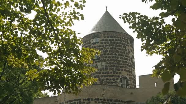 Vue d'un beau château à travers les branches des arbres — Video