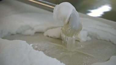 Marş ek peynir üretimi sırasında