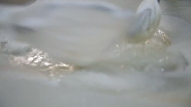 Marş ek peynir üretimi sırasında