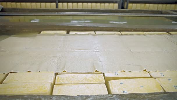 Peynir yapmak için tuzlu su ile bir tank — Stok video