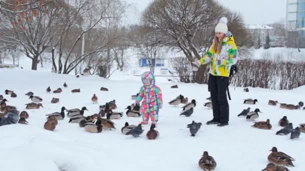 Een moeder en haar baby voeden duiven en eenden in de sneeuw — Stockvideo