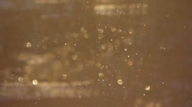 Güneş ışınlarının düşme karda bir altın arka plan