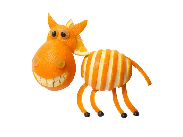 Зебра из апельсина — стоковое фото