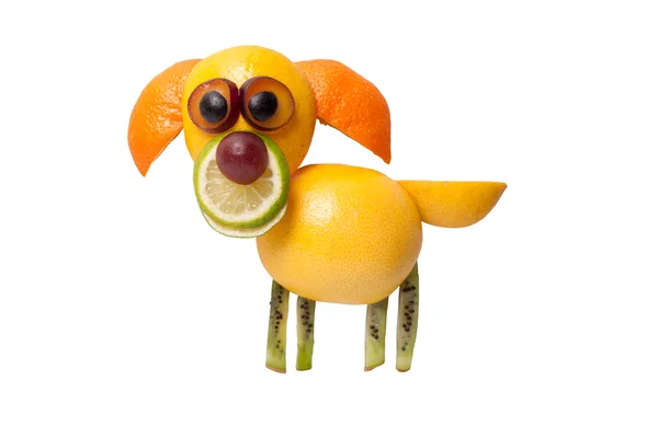 Собака зі свіжих фруктів — стокове фото