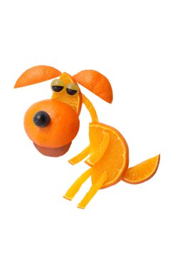 Köpek komik sit poz portakal ve üzüm yapılmış