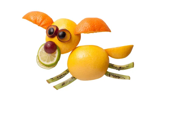 Funny flying dog made of fruits — Stock Photo, Image