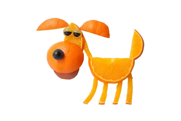 Dog made of oranges — Stock Photo, Image