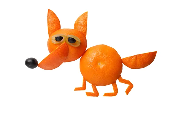 Tilki yürüyüş yapılan orange