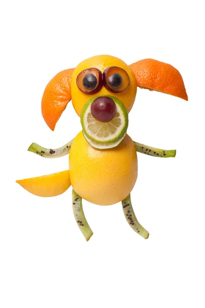 Funny dog in standing pose made of fruits — Stock Photo, Image