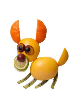 Komik atlama köpek meyvelerini yaptı 