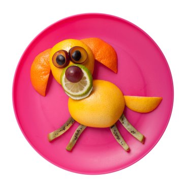 Köpek turuncu ve kivi yapılmış plaka üzerinde