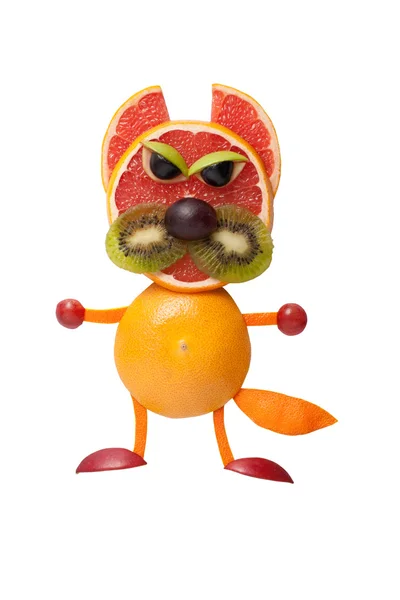 Wütende Katze aus Früchten — Stockfoto