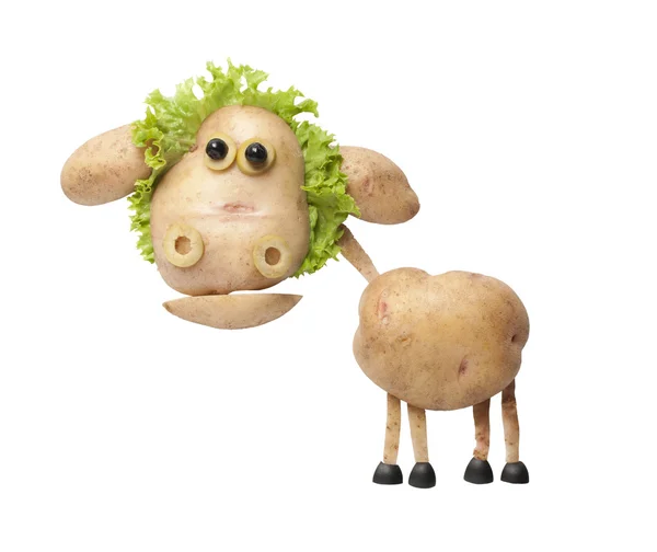 Rolig får göras av potatis och sallad — Stockfoto