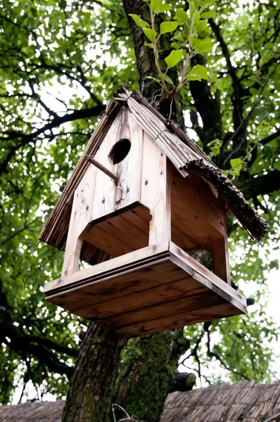 Häckande box fågelholk — Stockfoto