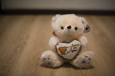 Beyaz bir oyuncak ayı