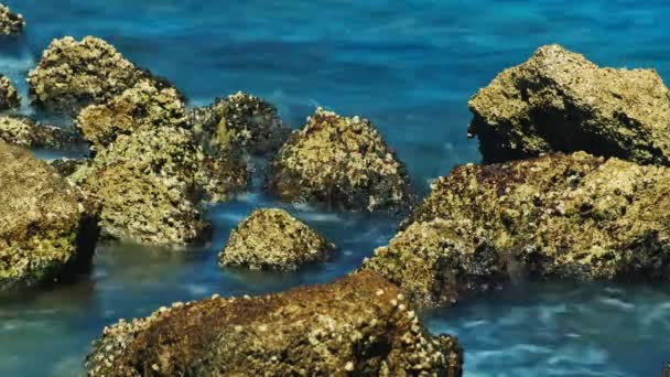 Vlny narážely na korálový útes. Koncept - čas je rychlý — Stock video