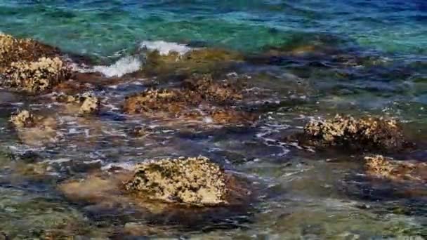 Olas rompiendo en las rocas, surf - video en cámara lenta — Vídeo de stock