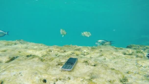 O telemóvel está a afogar-se no mar à volta do nado de peixes exóticos. Conceito - Liberdade de tecnologia — Vídeo de Stock
