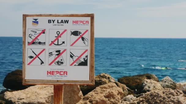 格达-2016 年 2 月 25 日，在红海的行为的规则与板 — 图库视频影像