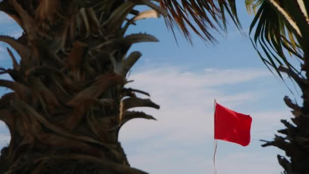 Bandera roja en el fondo del cielo, palmeras en primer plano — Vídeos de Stock