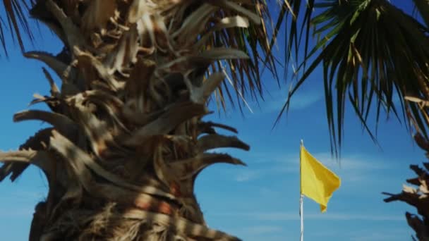 Желтый флаг на фоне голубого неба, пальмы на переднем плане — стоковое видео