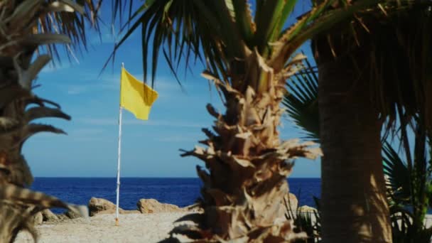 Bandera amarilla sobre un fondo de cielo azul, palmeras en primer plano — Vídeos de Stock