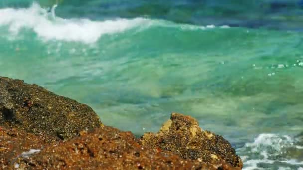 Olas rompiendo en las rocas en un día soleado — Vídeo de stock