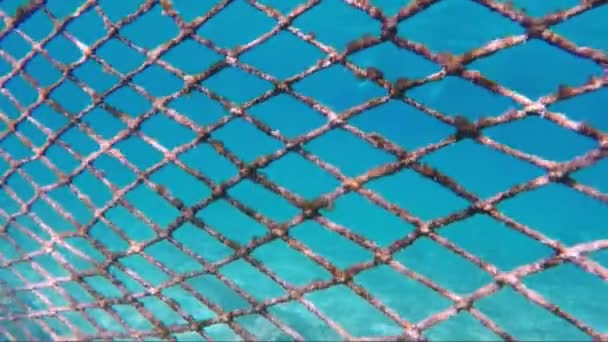 Barrera de red bajo el agua — Vídeos de Stock