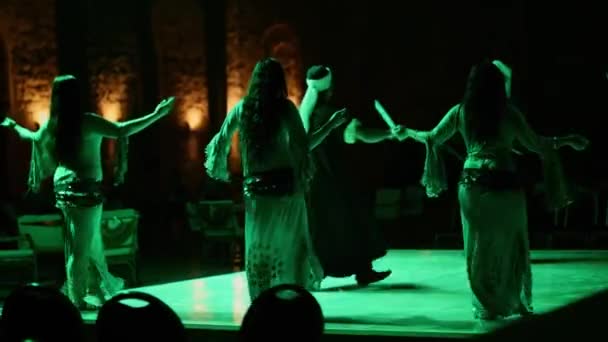 Hurghada, Egypt - February 26, 2016 A group of men and women dancing traditional Arab dance — Stock Video