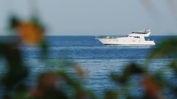 Weiße Luxusjacht treibt im Meer — Stockvideo