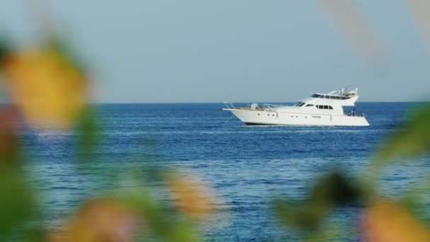 Bellissimo yacht alla deriva al largo della costa — Video Stock