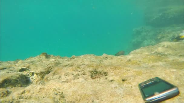 Teléfono cae al fondo del mar cerca de la natación peces exóticos — Vídeos de Stock