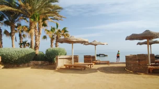 Steadicam shot: Mujer de pie en la playa cerca de las sombrillas y las palmeras, mirando al mar — Vídeo de stock