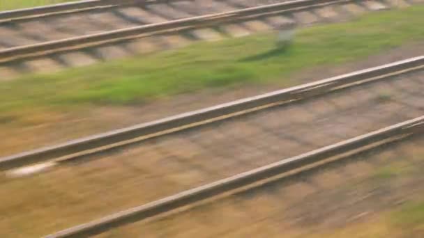 Cestování vlakem, sledování rychle spěchat minulosti — Stock video