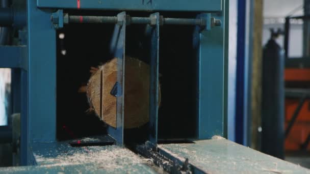 Ξύλο κοπής μηχάνημα κόβει Οικοδομική ξυλεία — Αρχείο Βίντεο